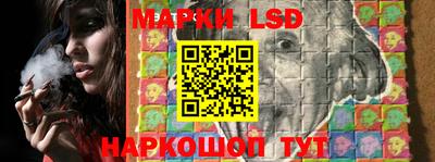 твердый Новозыбков