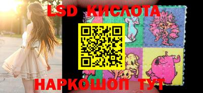 твердый Новозыбков