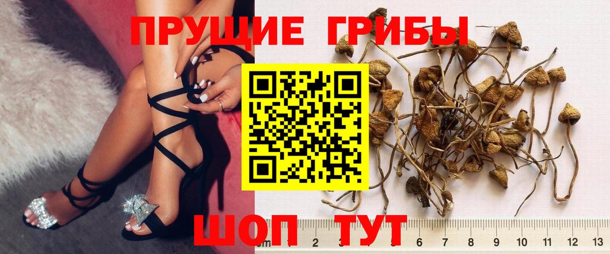 Галлюциногенные грибы мухоморы  Галлюциногенные грибы ЛСД  Сатка  Вход с VPN 